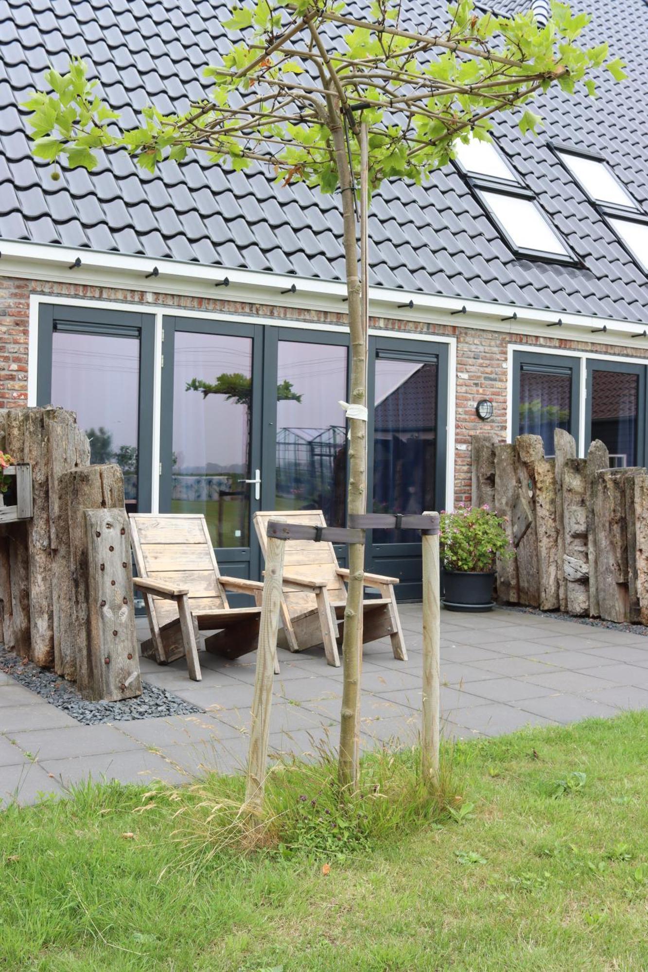 B&B Heeringhuusen Haringhuizen Kültér fotó